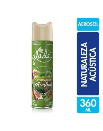 DESODORANTE AEROSOL EE2...