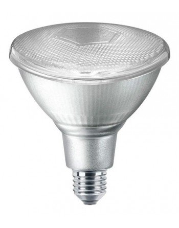 LAMPARA PAR 38 LED BLANCA