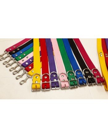 COLLAR PERRO N 1