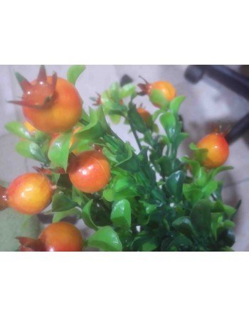 PLANTA FLOR FRUTAL